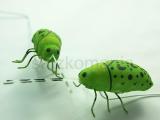 Zápich chrobák zelený