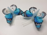 Motýľ na štipci 5 cm modrý 103